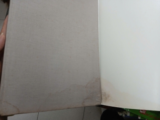 TRANH SƠN DẦU VIỆT NAM (BÌA CỨNG)