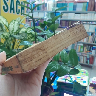 NHỮNG PHƯƠNG THUỐC HAY CÁC TOA THUỐC RƯỢU VÀ THUỐC CAO - VÕ KIM ĐỒNG