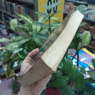 1200 BÀI THUỐC THẦN PHƯƠNG - NGUYỄN VĂN XỨNG