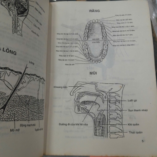 1200 BÀI THUỐC THẦN PHƯƠNG - NGUYỄN VĂN XỨNG