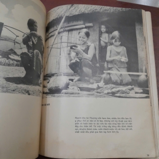 CAO NGUYÊN VIỆT NAM QUÊ HƯƠNG YÊU DẤU - CAO ĐÀM, CAO LĨNH