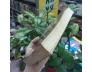 1200 BÀI THUỐC THẦN PHƯƠNG - NGUYỄN VĂN XỨNG