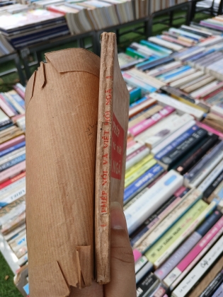 PHÉP NÓI VÀ VIẾT HỎI NGÃ - HỒ HỮU TƯỜNG