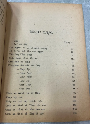 TỬ VI ĐẨU SỐ THỰC HÀNH - LƯƠNG QƯỚI NHƠN