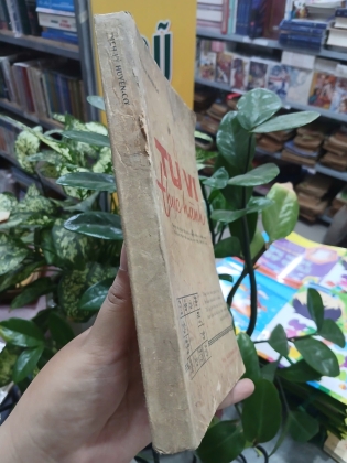 TỬ VI THỰC HÀNH - DỊCH LÝ HUYỀN CƠ