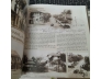 DI SẢN SÀI GÒN - THÀNH PHỐ HỒ CHÍ MINH - NGUYỄN HẠNH