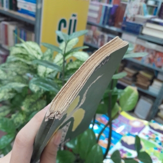 NÓI VỚI TUỔI HAI MƯƠI - NHẤT HẠNH 
