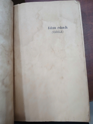 TÂM CẢNH - ANDRÉ MAUROIS (BẢN DỊCH: MẶC ĐỖ)