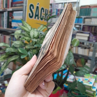 VỚI NHAU MỘT NGÀY NÀO - DU TỬ LÊ