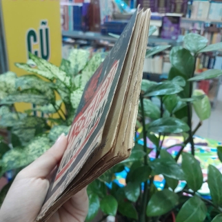 NGÓN THẦN ĐỂ LUYỆN TÂM - HOÀNG XUÂN VIỆT 