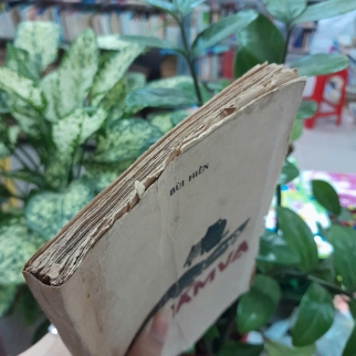 NẰM VẠ - BÙI HIỂN 