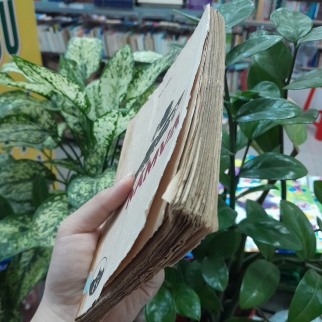 NẰM VẠ - BÙI HIỂN 