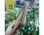 NGÓN THẦN ĐỂ LUYỆN TÂM - HOÀNG XUÂN VIỆT 