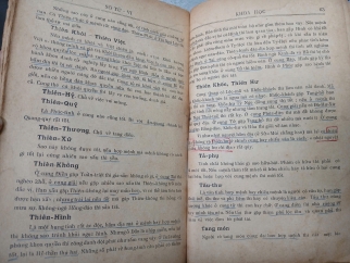 SỐ TỬ VI KHOA HỌC - THIÊN LƯƠNG, VĂN THÁI