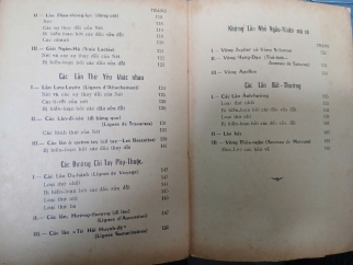 TỰ HỌC COI CHỈ TAY - HUYỀN LINH