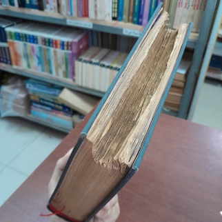 NHÂN TƯỚNG HỌC - HY TRƯƠNG