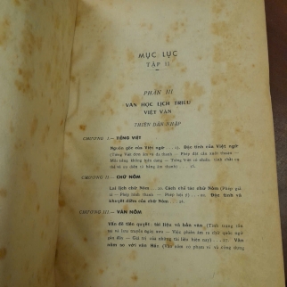 VIỆT NAM VĂN HỌC SỬ GIẢN ƯỚC TÂN BIÊN ( TẬP 1 VÀ 2) - PHẠM THẾ NGŨ