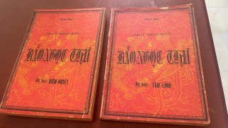 BẢO NGỌC THƯ - VIỆT HẢI