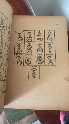 BẢO NGỌC THƯ - VIỆT HẢI
