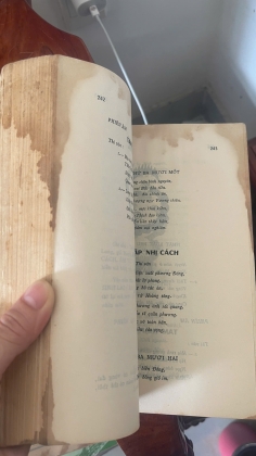 BẢO NGỌC THƯ - VIỆT HẢI