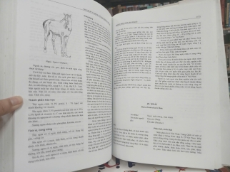 CÂY THUỐC VÀ ĐỘNG VẬT LÀM THUỐC Ở VIỆT NAM (TRỌN BỘ 2 TẬP BÌA CỨNG)