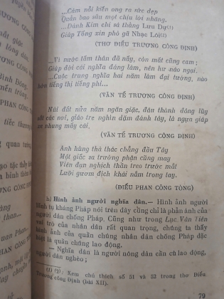 NGUYỄN ĐÌNH CHIỂU - VŨ ĐÌNH LIÊN