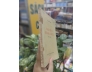 NGUYỄN ĐÌNH CHIỂU - VŨ ĐÌNH LIÊN