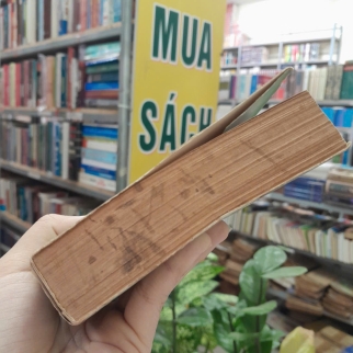 TỪ ĐIỂN TRUYỆN KIỀU - ĐÀO DUY ANH