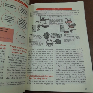 NHÂN TỐ ENZYME - HIROMI SHINYA ( TRỌN BỘ)