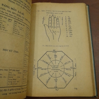 TỬ VI ĐẨU SỐ THỰC HÀNH - NGUYỄN VĂN TOÀN