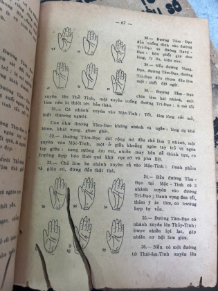 CHIÊM TINH NGHIỆP SỐ - PHẠM DOÃN TRỌNG