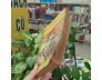ĐÔNG CHU LIỆT QUỐC ( TẬP 1) - PHÙNG MỘNG LONG 