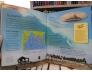 THE CHILDREN'S ENCYCLOPEDIA OF PLANET EARTH