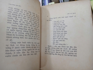 VANG BÓNG MỘT THỜI - NGUYỄN TUÂN 
