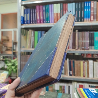 CẨM NANG MÙA MÀNG, LUẬN KHẢO VỀ CÁC BỆNH THƯỜNG HẠI CÂY CỐI MIỀN NAM VIỆT NAM - HOÀNG THỊ MỸ 