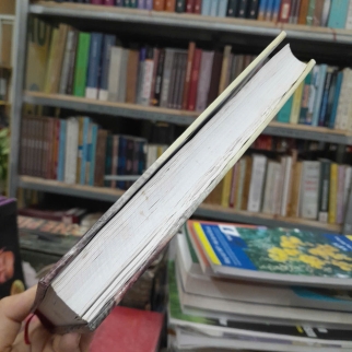 ĐẠI VIỆT THÔNG SỬ - LÊ QUÝ ĐÔN ( NGÔ THẾ LONG DỊCH)