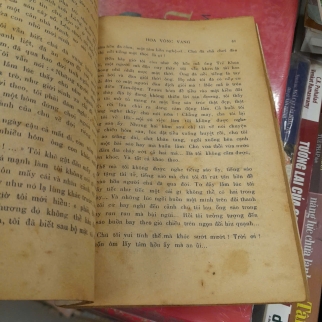 HOA VÔNG VANG - ĐỖ TỐN