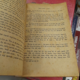 HOA VÔNG VANG - ĐỖ TỐN
