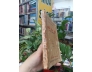 GIỜ THỨ HAI MƯƠI LĂM (QUYỂN 1) - C. V. GHEORGHIU (BẢN DỊCH CỦA LÊ NGỌC TRỤ VÀ VÕ THỊ HAY)