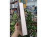ĐỊA PHƯƠNG CHÍ TỈNH BẮC NINH QUA TƯ LIỆU HÁN NÔM (BÌA CỨNG) - ĐINH KHẮC THUÂN