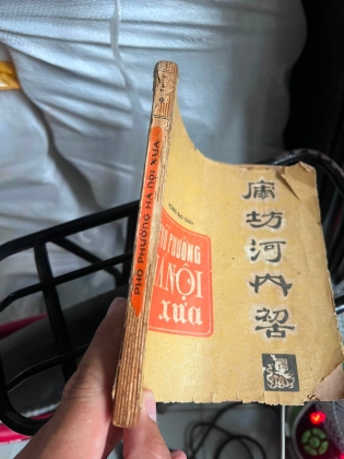 PHỐ PHƯỜNG HÀ NỘI XƯA - HOÀNG ĐẠO THÚY
