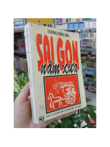 SÀI GÒN NĂM XƯA - VƯƠNG HỒNG SỂN