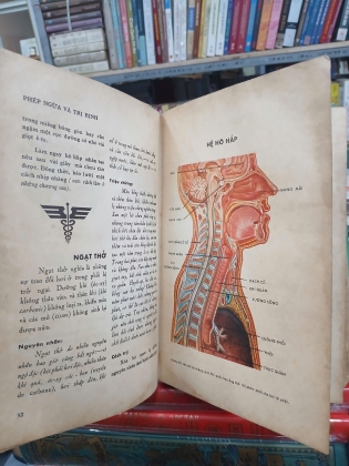 PHÉP NGỪA VÀ TRỊ BỊNH - MAURICE SALLEE, LÊ VĂN KHOA