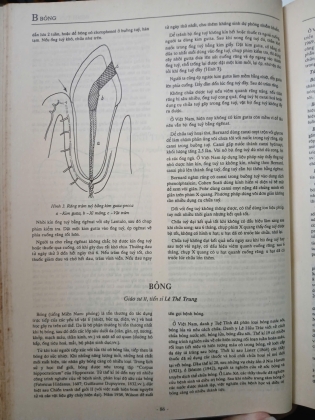 BÁCH KHOA THƯ BỆNH HỌC (TẬP 1)