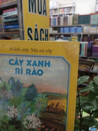 CÂY XANH RÌ RÀO