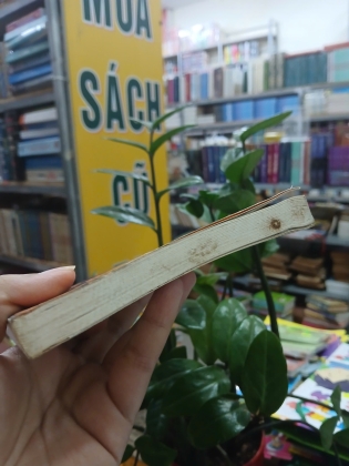 LUẬN VĂN LOGIC TRIẾT HỌC - WITTGENSTEIN (SÁCH CÓ CHỮ KÝ DỊCH GIẢ TRẦN ĐÌNH THẮNG)