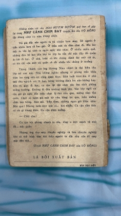 HOA BƯƠM BƯỚM - VÕ HỒNG (BẢN ĐẶC BIỆT)