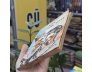 15 TRUYỆN MIỀN ĐỒNG TUYẾT - NGUYỄN MẠNH TUÂN