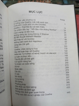J. W. GOETHE CUỘC ĐỜI, VĂN CHƯƠNG VÀ TƯ TƯỞNG (BÌA CỨNG) - NGUYỄN TRI NGUYÊN 