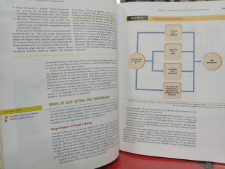 PRINCIPLES OF ORGANIZATIONAL BEHAVIOR - JOHN W. SLOCUM, DON HELLRIEGEL
